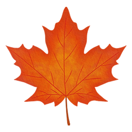 leaf-icon.png